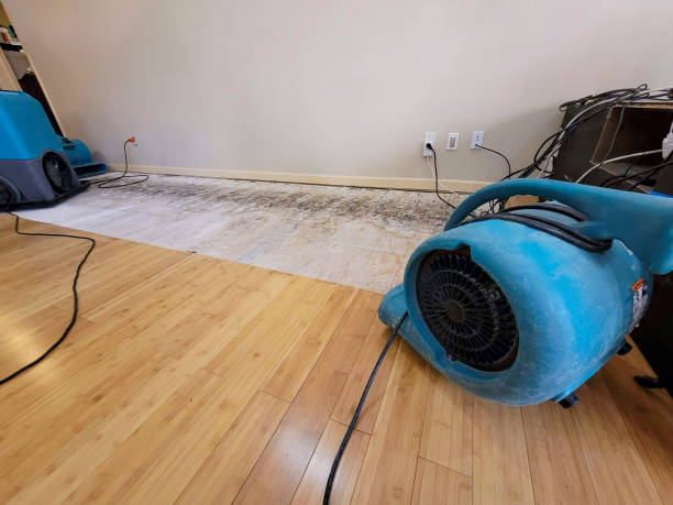 Professional Water Damage Repair technician working in Lincoln, MA